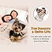 Petrainer Anti Bark Dog Collar Training System, Electric No Bark Shock Control with 7 Adjustable Sensitivity Control