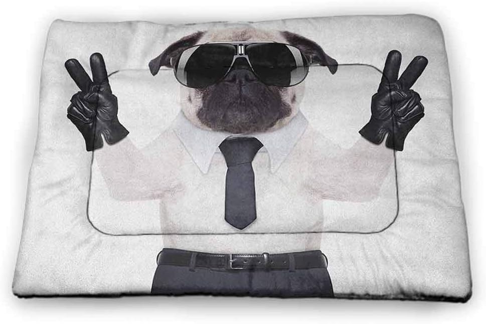 pugs folding sunglasses