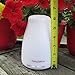 160ml Ultrasonic Aromatherapy Essential Oil Diffuser - Easy To Use - Cool Mist Aroma Humidifier - Safe For All Oils - 7 Color LEDS - Automatic Shut Off - 2 Mist Modes - Great For Men, Women & Kids!