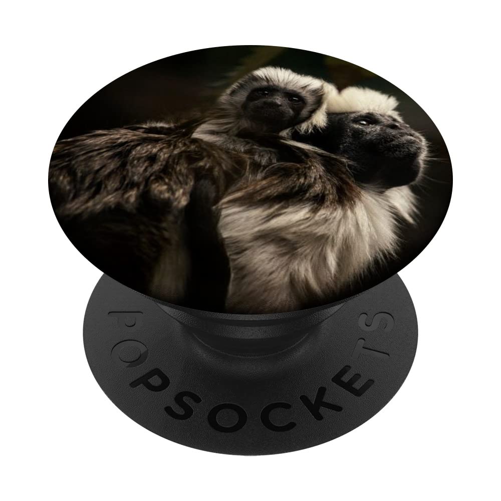 Tamarin Monkey PopSockets Swappable PopGrip