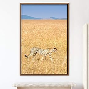 signwin Framed Canvas Wall Art Cheetah Animals Cheetah...