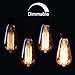 6 Pack Vintage Edison Light Bulbs, 60W E26/E27 Base Dimmable Replacement Light Bulbs for Wall Sconces Lights, Antique Squirrel Cage Lights, Pendant Island Ceiling Chandelier Light Lamps, Amber Warm