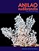 Anilao Nudibranchs and Other Sea Slugs