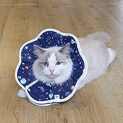 ComSaf Soft Cat Recovery Collar, Protective