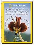 Winged Seduction: Bird / Paradise