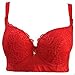 Women Sexy Plus Size Large Push Up Embroidered Underwired Plunge Lace Flower Bra
