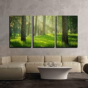 3 Piece Canvas Wall Art - Removable Wall Mural - Modern Home Art Stretched and Framed Ready to Hang - 16"x24"x3 Panels