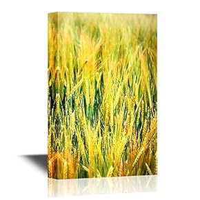 Landscape Canvas Wall Art - Retro Style Wheat Field - Gallery Wrap Modern Home Art | Ready to Hang - 12x18 inches
