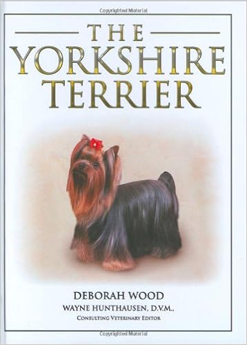 The Yorkshire Terrier �n�[�h�J�o�[  - 2008/10/1