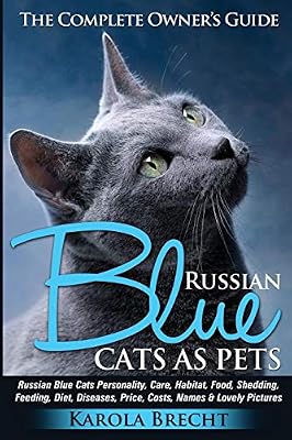 Russian Blue Cats As Pets Personality Care Habitat Feeding