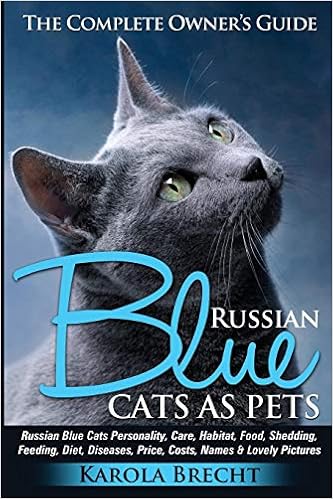 Russian Blue Cats As Pets Personality Care Habitat Feeding