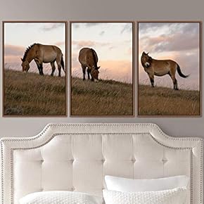 signwin 3 Piece Framed Canvas Wall Art Horse...