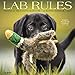 Lab Rules 2020 Wall Calendar (Dog Breed Calendar) by