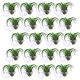Resinta 24 Pieces Air Plant Holder Suction Cup Air Plant Wall Holder Hanging on Glass and Refrigerator (Plants Not Included) (24)