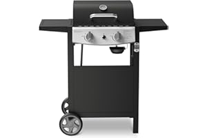 Havato 21000 BTU Propane Gas Grill with 2-Burner,325 sq.in. Outdoor BBQ Grill for Barbecue Cooking with Top Cover Lid,Wheels,Side Storage Shelves,Barbeque Stove for Patio Garden Camping,Black