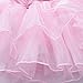 TFJH E Children Princess Party Costumes Flower Girls Ballet Leotard Dress Pink XXL