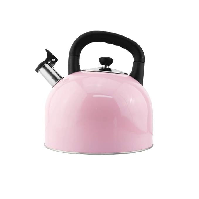 Gas kettle large capacity kettle 304 stainless steel kettle (Size 4L