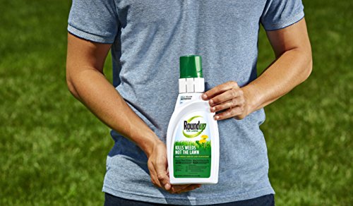 1 Roundup+Lawns+Concentrate+Northern+32oz