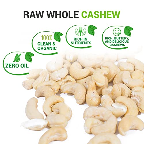 WICOSHEW RAW WHOLE CASHEWS, 14/28/43,5 OZ, HEALTHY SNACKS, 100% NATURAL, ORGANIC CASHEWS BULK, SIZE S (14 OUNCE)
