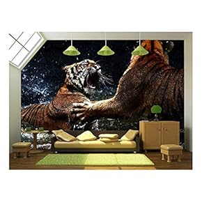 Tiger Attack to Other Tiger - Removable Wall Mural | Self-Adhesive Large Wallpaper - 66x96 inches