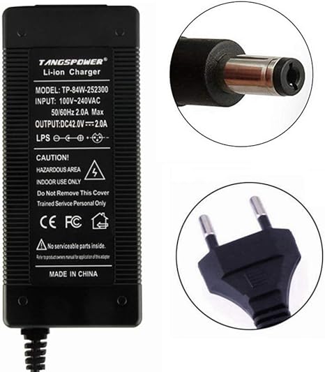 caricabatterie per biciclette Schwinn