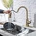 Kitchen Faucet, faucets for Kitchen Sinks Stainless Steel Kitchen Faucet Gold Kitchen Faucet with Pull Down Sprayer Commercial Modern Single Handle Farmhouse rv Camper Sink