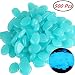 ASIBT 500 Pcs Glow in the Dark Stones,Garden Pebbles Rocks for Outdoor, Walkway, Window, Yard Grass, and Fish Tank Decoration（Blue）