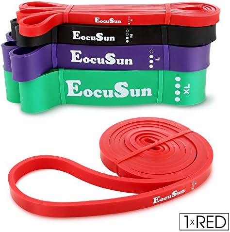 Pull Up Bands, Stretch Resistance Bands, Mobility Exercise Bands, Assisted Pull Up Straps Powerlifting Band for Home Fitness, Stretching and Resistance Training, Physical Therapy, Pilates Yoga