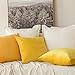 MIULEE Pack of 2 Velvet Soft Solid Decorative Square Throw Pillow Covers Set Cushion Case for Fall Sofa Bedroom 16x16 Inch 40x40 Cm Lemon Yellow