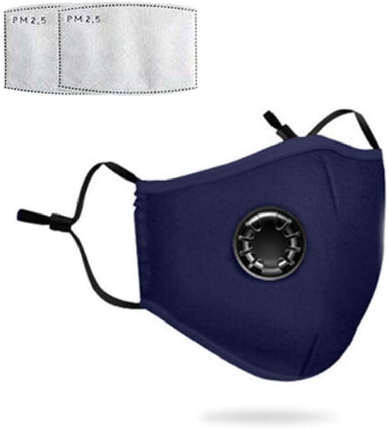 1 Pack PM 2.5 Anti Pollution Masks with 2 Air Filter Cotton Sheet Washable Reusable N95 Anti Dust Smoke Face Mask Respirator with Adjustable Straps (Blue)