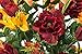 Sympathy Silks Artificial Cemetery Flowers – Realistic Vibrant Roses, Outdoor Grave Decorations - Non-Bleed Colors, and Easy Fit - Fall Mix Bouquet