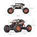 Theefun 1:18 RTR RC Rock Crawler 2.4Ghz Remote Control Car 4WD Off Road RC Monster Truck