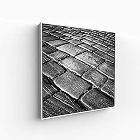 Canvas Wall Art for Living Room, Bedroom Silence Framed Canvas Prints for Home Decoration Ready to Hang - 16x16 inches
