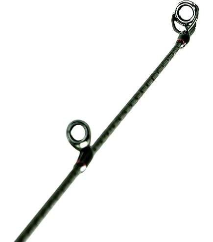 Amazon.com : ZODIAS Spinning : Sports & Outdoors