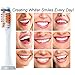 Philips Sonicare Toothbrush Heads,Phillips Sonic Care Brush Head, Powerup Replacement Electric Powered Power Up – 8 pk
