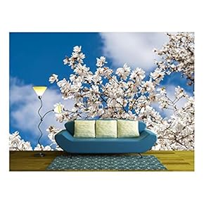 White Magnolia Flowers in Spring - Removable Wall Mural | Self-Adhesive Large Wallpaper - 66x96 inches