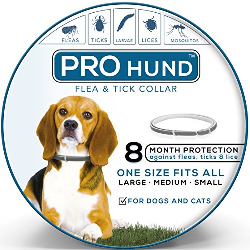 prohund flea collar