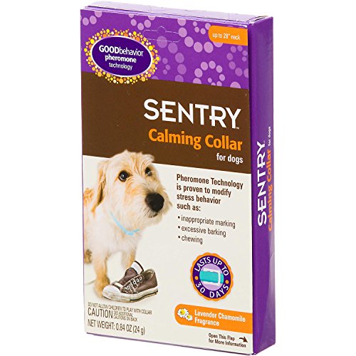 Sentry-Calming-Collar-for-Dogs