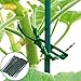 GreceYou 50/100/200 Pcs Adjustable Garden Plant Twist Ties – Flexible Plastic Garden Cable Ties Multi-Use for Secure Vine, 6.7 Inchthumb 4