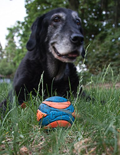 CHUCKIT! ULTRA SQUEAKER BALL