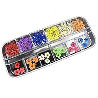 Valuu 3D Nail Art Dried Flowers Sticker 12 Colors Natural Real Dry Flower Nail Art Decoration Lovely Five Petal Flower Beauty Nail Stickers for 3D Nail Art Acrylic UV Gel Tips