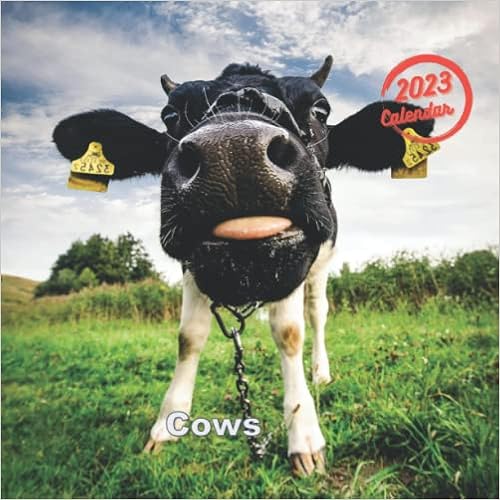 Rowan Calendar 2023 2023 Calendar Cows: 12-Month, Size 8,5X8,5 Inch, Cute Anniversary Gift  Ideas For Men, Women, Mother, Father : J. Rowan, Lai: Amazon.co.uk: Books