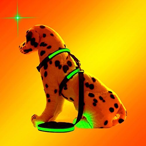 Kingkok Adjustable LED Dog Collar Rechargeable USB Reflective LED Dog Harness Leash Safety Walking Dogs at Night [Large]
