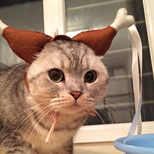 Ztl Pet's Novelty Turkey Drumstick Headband Dog Cat Cute Headwear Funny Headdress