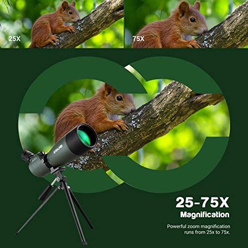 ESSLNB Spotting Scope with Tripod Phone Adapter BAK4 Prism 25-75 X 70 Angled Waterproof Spotting Scopes for Target Shooting Bird Watching Hunting - Thumbnail 2