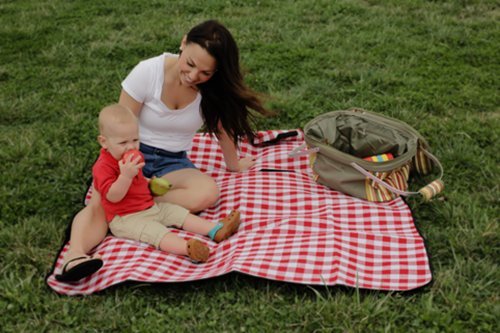 Camco 42801 Picnic Blanket (51" x 59", Red/White)