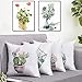 BLEUM CADE Throw Pillow Covers Cactus Succulent Pillow Covers Plants Potted Throw Pillow Cases Cushion Covers Zippered Pillowcase 18
