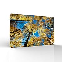 signwin-Canvas Wall Art-Sunshine in The Forest -Canvas Prints Home Artwork Decoration for Living Room,Bedroom - 12x18 inches