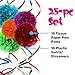 25 Piece Party Decorations Set - Tissue Paper Flowers + Plastic Swirls Bundle - Party Streamers - Tissue Paper Pom Poms - Multi-Color