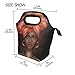 Insulated Lunch Tote Bag African American Woman Travel Picnic Lunch Handbags Portable Zipper Lunch Bag Box